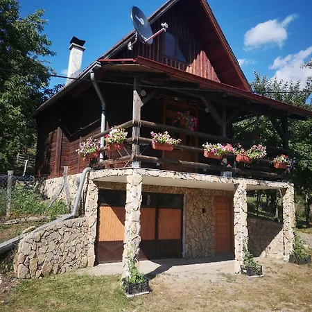 Vikendica Kod Brice Apartman Jevtići